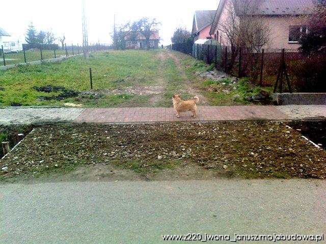 blog budowlany - mojabudowa.pl